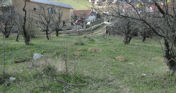 Teren intravilan , Bucium Barnova
