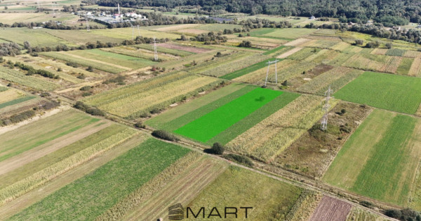 Teren extravilan de v&acirc;nzare &ndash;5000 mp, Șelimbăr (Mohu)