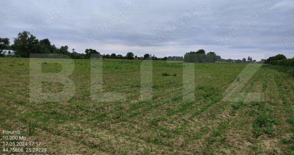 Teren intravilan/extravilan, 1 hectar, zona Gura Foii
