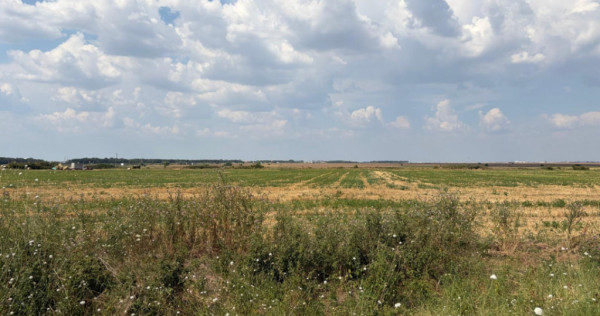 C&acirc;rcea &ndash; Teren 12.000 mp cu deschidere de 51,17 ml
