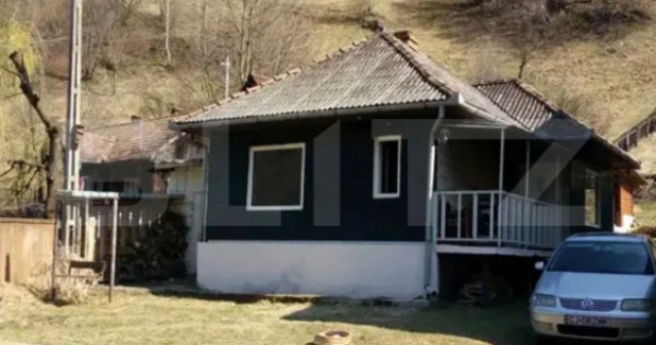 Cabana cu piscina si sistem fotovoltaic, 60 mp, zona Maguri