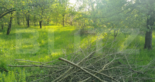 Teren intravilan de vanzare, 3.317 mp, zona Simeria Veche
