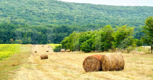Teren de vanzare, 15.000 mp, zona Poieni - Com. Schitu Duca