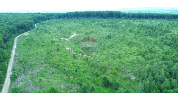 Teren 44,7, hectare Serbauti / Strada Principala