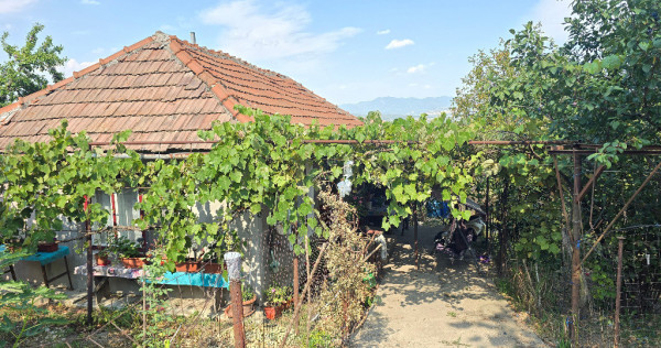 Vand casa in Deva, zona Viile Noi, suprafata totala de teren de 411 mp