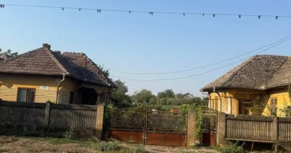 Teren intravilan 2.400 mp &icirc;n Băilești 24 m deschidere la strada