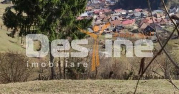 Teren 5000 mp, ideal cabana, pensiune, in zona de interes...