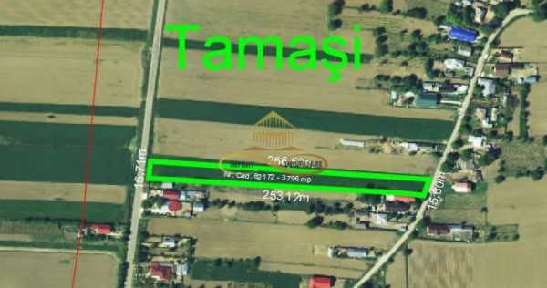 Teren intravilan de vanzare Tamasi Bacau