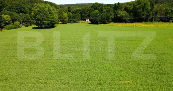 Teren la asfalt , 615 mp in Viticultori