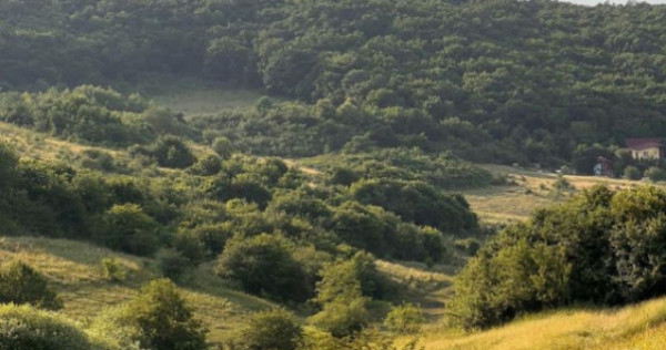 Teren 1000mp, Valea Sanaslaului