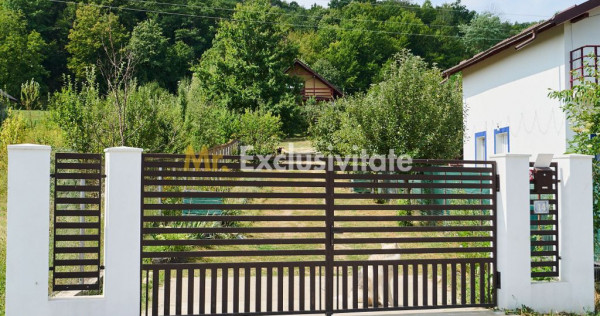 Doua CASE in aceeasi curte&ndash;BABANA, ARGEȘ | 1.485 MP TEREN