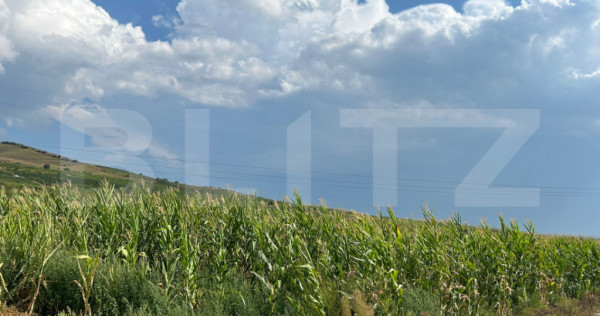 Teren de v&acirc;nzare, 963 mp, 4 parcele cu PUZ, zona Ciumbrud