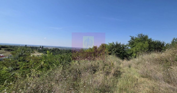Teren intravilan 4.029 mp de vanzare, zona Crama Seciu