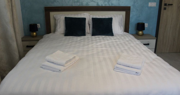 Apartament cu 2 camere Central (pet friendly)
