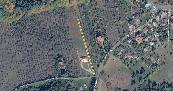 Teren intravilan Muscel/Fantana cu ciresti 708mp