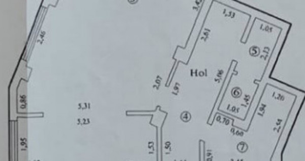 Spatiu comercial liber vad zona centrala