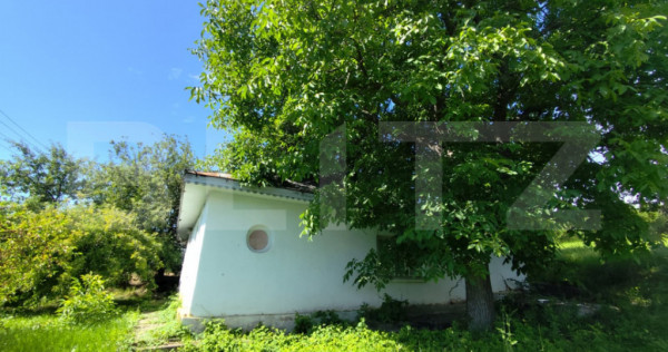 Casa 3 camere, 110 mp, 4800 mp teren, zona Horlesti
