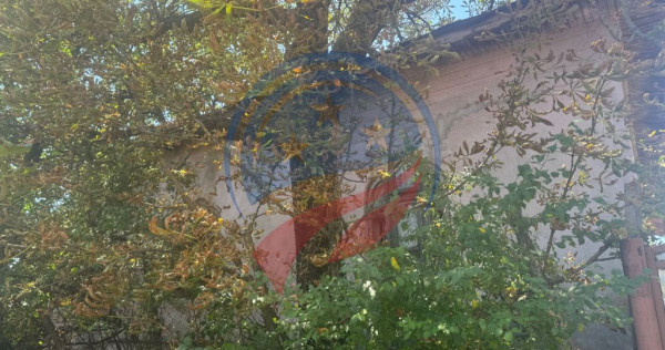Teren/ casa demolabila Dutulesti