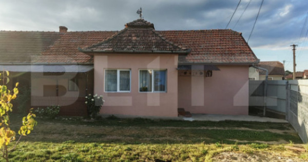Casa 3 camere, 116 mp, 1824 mp teren, zona Badeni