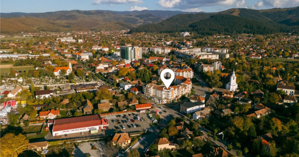 Spatiu industrial comercial proiect de apartamente aparth