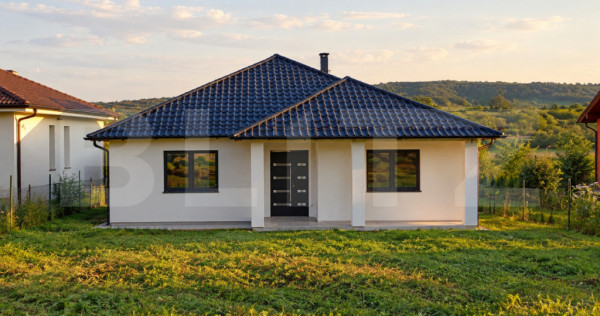 Casa de vanzare, teren 1100 mp, zona Sud