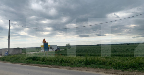 Teren extravilan 6.366 mp, acces facil, potențial investi?