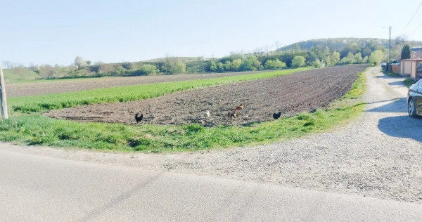 Teren &icirc;n comuna Blagesti, Bacau 10000mp