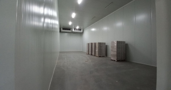 Hala industriala 572 mp, teren 1.615 mp - Zona Sud Timisoara