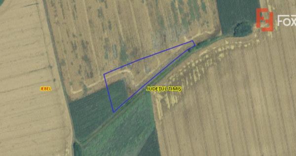 Teren agricol extravilan de vanzare, 2,69 hectare - Jebel Ti
