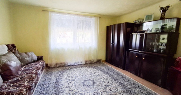 Casa individuala de vanzare in Timisoara, zona Crisan