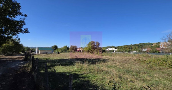 Teren intravilan 3.750 mp de vanzare in Campina