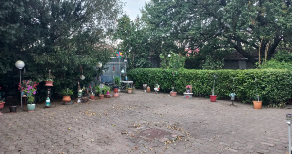 Potential de dezvoltare in 5-6 parcele 3.000 mp in Plopi | F