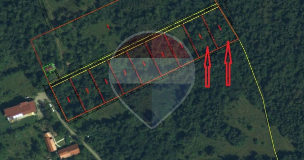 Oportunitate de investiție - 2.034 mp &icirc;n Viștișoara (Țara Făgărașului)