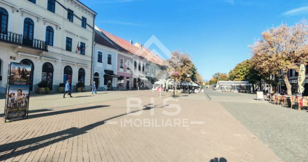 Apartament 3 camere Ultracentral &ndash; Pietonal Liviu Rebreanu