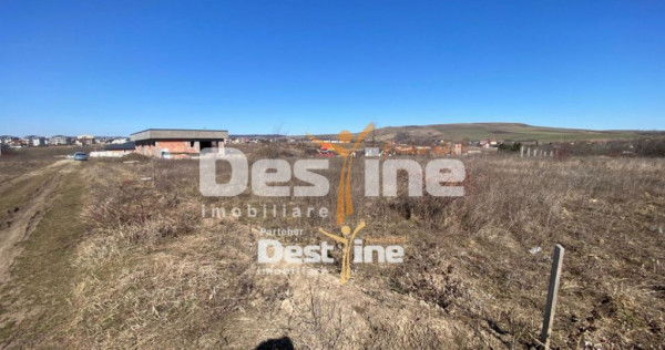 Loturi de Teren Fermelor Strada Plantelor