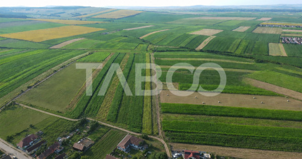 Teren de vanzare pentru casa individuala in Sura Mica