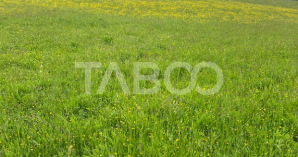 OPORTUNITATE INVESTITIE Teren extravilan 3600 mp Poplaca