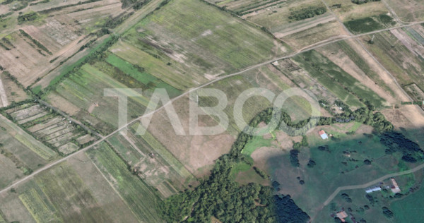 Teren de vanzare 17.000 mp in vecinatatea padurii Dumbrava