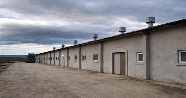 Hala versatila,spatii cazare, platforma betonata,1.150 mp te