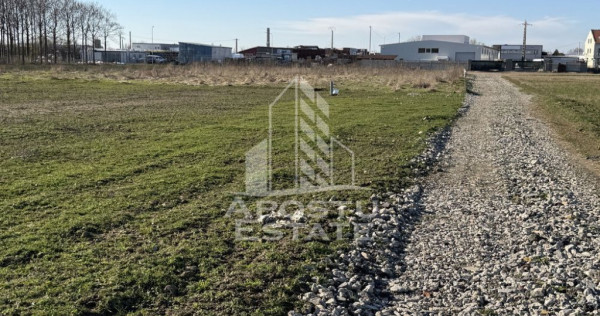 Teren pentru hala industriala, 1431 mp, Sagului- Ovidiu Cotrus