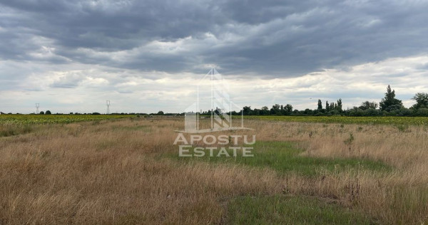 Parcela teren casa, intravilan, 1000 mp, Sanmihaiu Roman