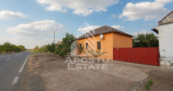 PROPRIETATE PREMIUM TEREMIA MARE - APOSTU ESTATE