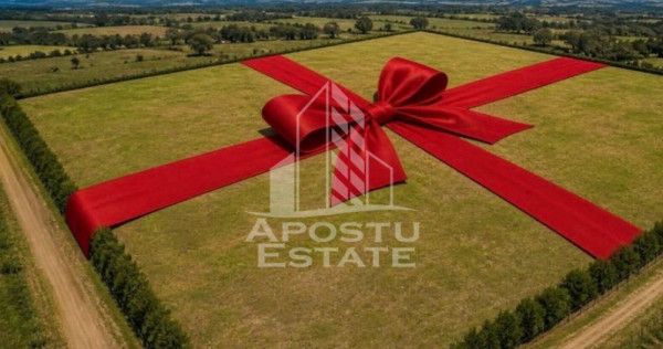 Parcele PUZ industrial 46,7 ha, 12euro+TVA| zona Nord Timișoara