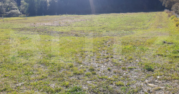 Teren intravilan, 5855 mp, zona Vatra Dornei