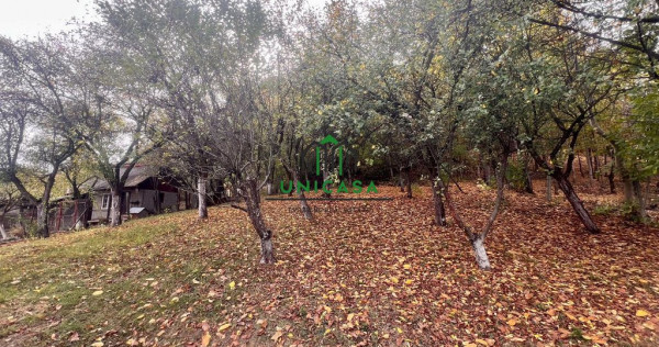 Teren intravilan de v&acirc;nzare &ndash; 4.257 mp &ndash; Strada Argintari