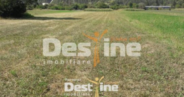 Teren de vanzare Pangarati 58.000 Euro 4488mp Intravilan