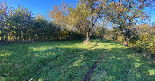 Teren extravilan 3200mp zona Tropinii Vechi