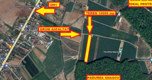 TEREN DEOSEBIT LIPIT DE PADURE | IZVORANI - PADUREA SNAGOV