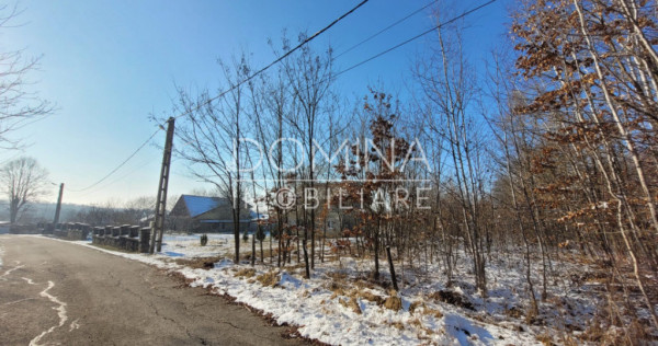 Teren intravilan, situat in Scoarta, sat Pistestii din Deal