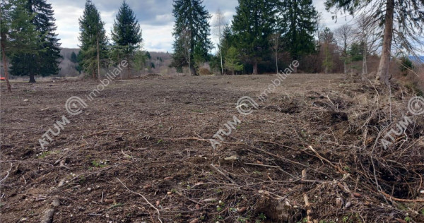 Teren intravilan 2000 mp de pe Valea Avrigului loc Avrig